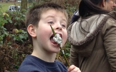 Autumn Term Forest School