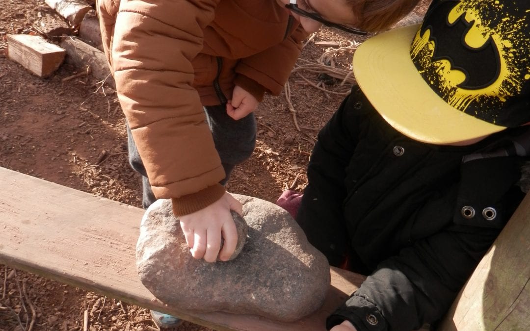 Year 3 trip to Bishop’s Wood