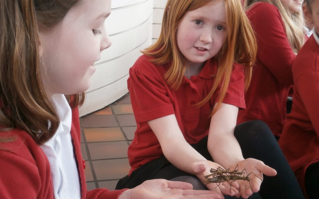 Year 4’s Rainforest Adventure!