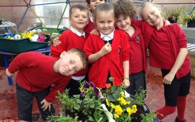 1R’s hanging basket!