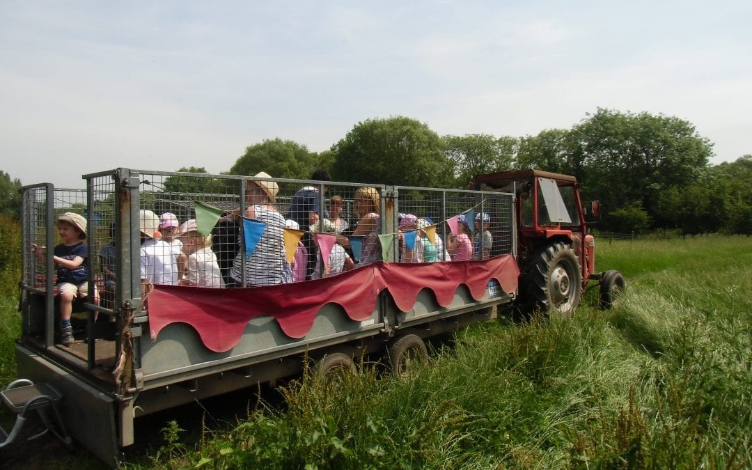 Broomey Croft Farm Trip