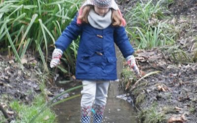 Forest School – Spring Term