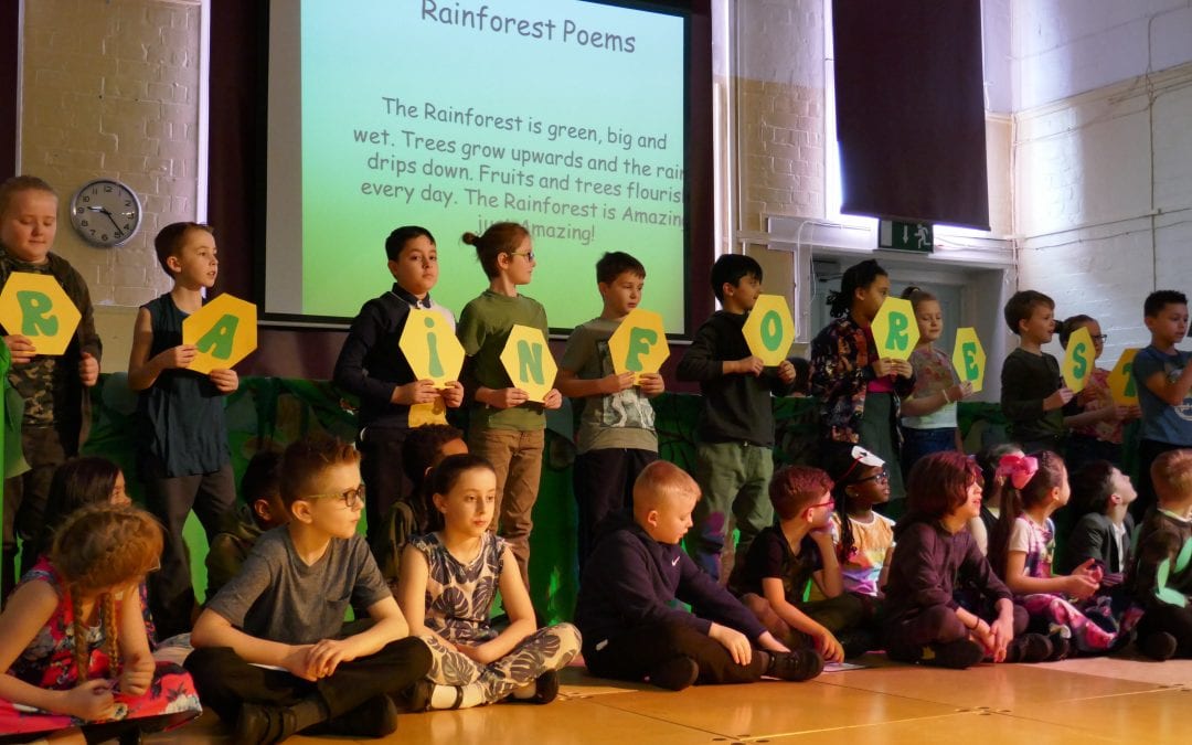 Rainforest Class Assembly