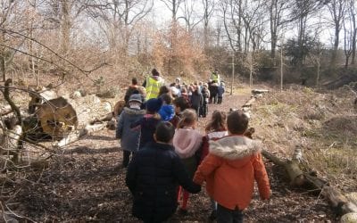 Year 1 go on the hunt for wildlife.