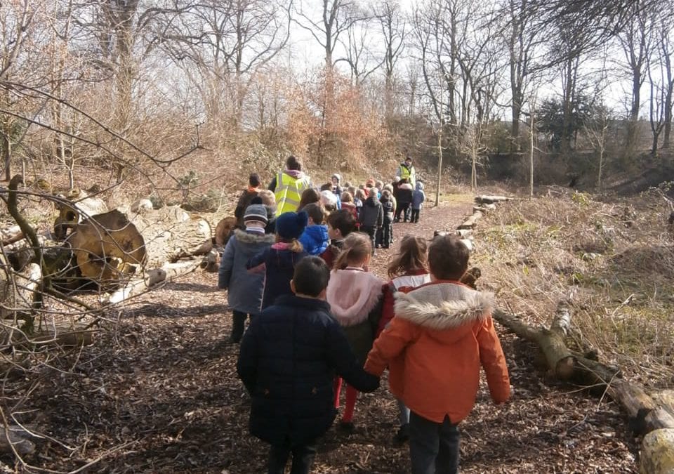 Year 1 go on the hunt for wildlife.