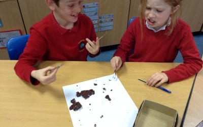 Picking apart poo from the past!